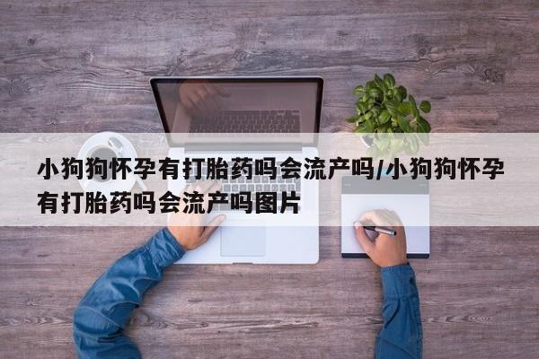 卖流产药联系方式小狗狗怀孕有打胎药吗会流产吗/小狗狗怀孕有打胎药吗会流产吗图片
