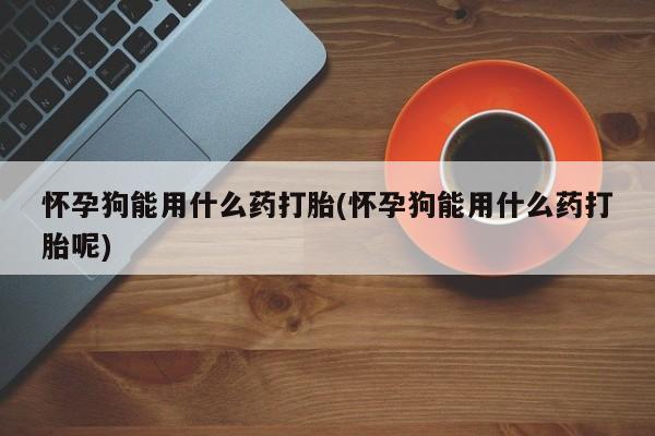 卖流产药联系方式怀孕狗能用什么药打胎(怀孕狗能用什么药打胎呢)